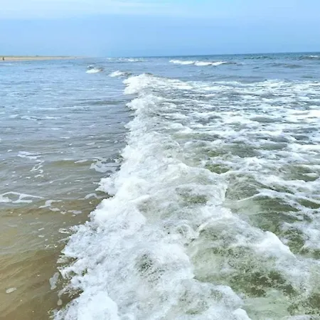 6 Person In Blavand-by Traum 펜션 Blåvand