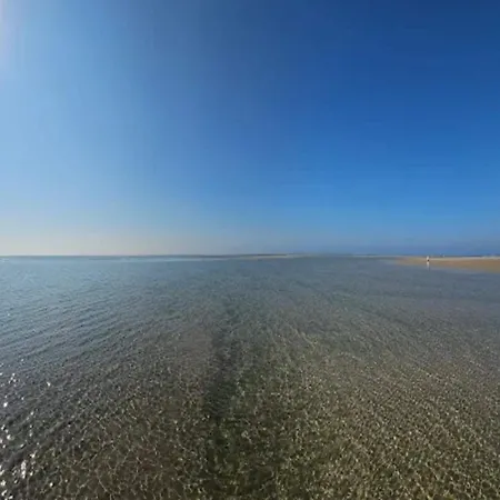 펜션 6 Person In Blavand-by Traum *